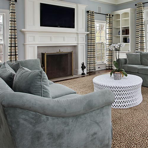 Upholstery Cleaning